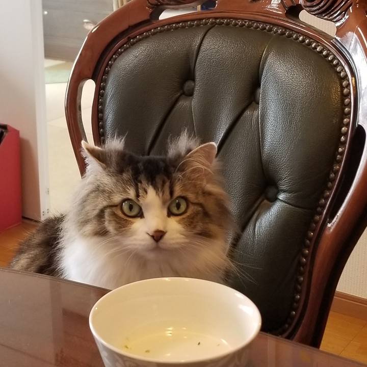 69e3df82 86ac 4347 9e38 14c1ae961814 1585524873579