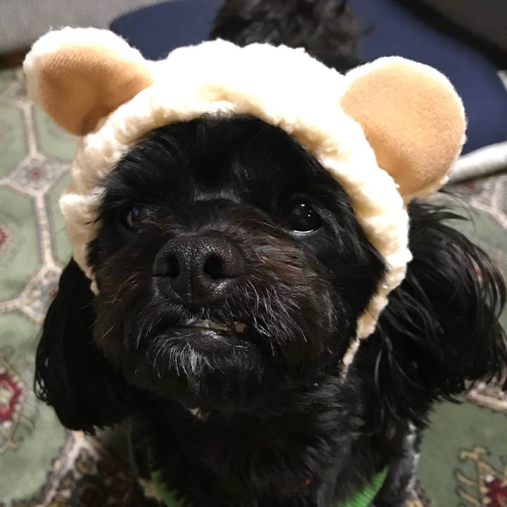 69e3f20d a572 4ad3 b223 b7f44ea4735c 1513425742818