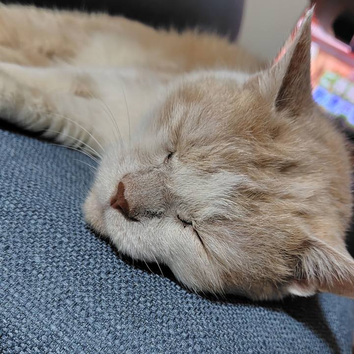 69e3f943 a427 4e11 993c e9ba46024016 1747740638177