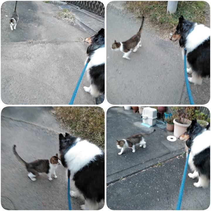 69e40b78 4686 467d a88c e6543474541c 1541159333606