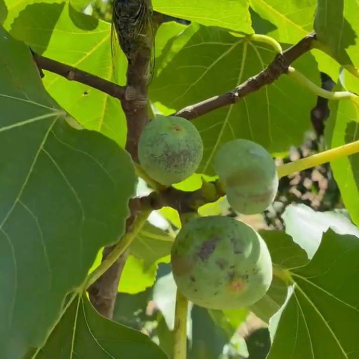 69e453e3 0419 4474 bf92 be5b63fb8196 1753411161101