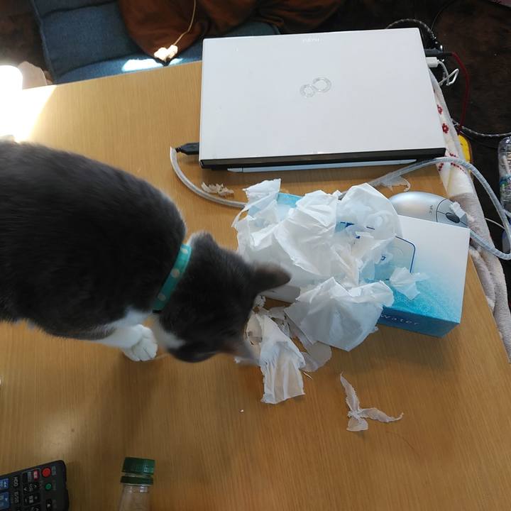 69e4c1b7 f716 4981 b69c 5d02d011fbb2 1582505906242