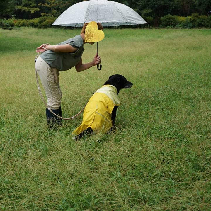 69e4d741 7a0e 43e2 a722 114782893bb8 1757031279182