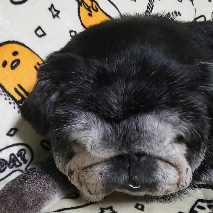 69e5355b 659a 4466 a7e4 d3b5e9cb17e2 1538936482804