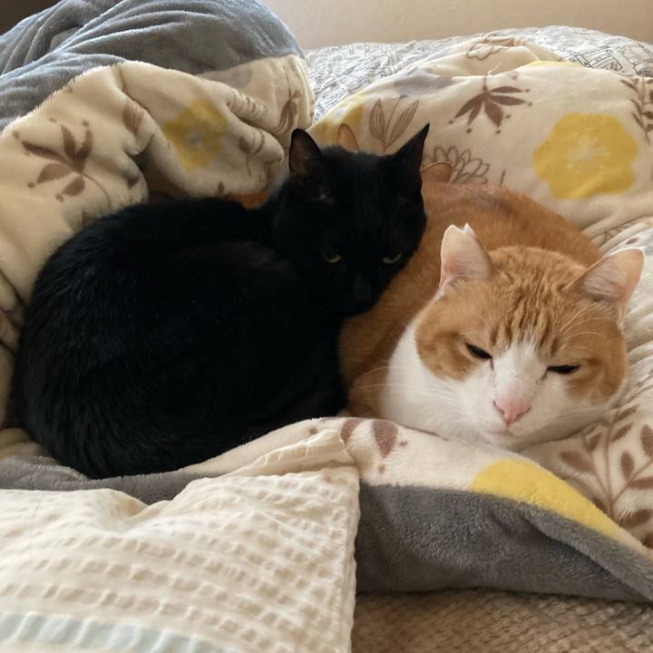 69e543e1 cf35 4d5c ac25 bca5764877f7 1766895868434