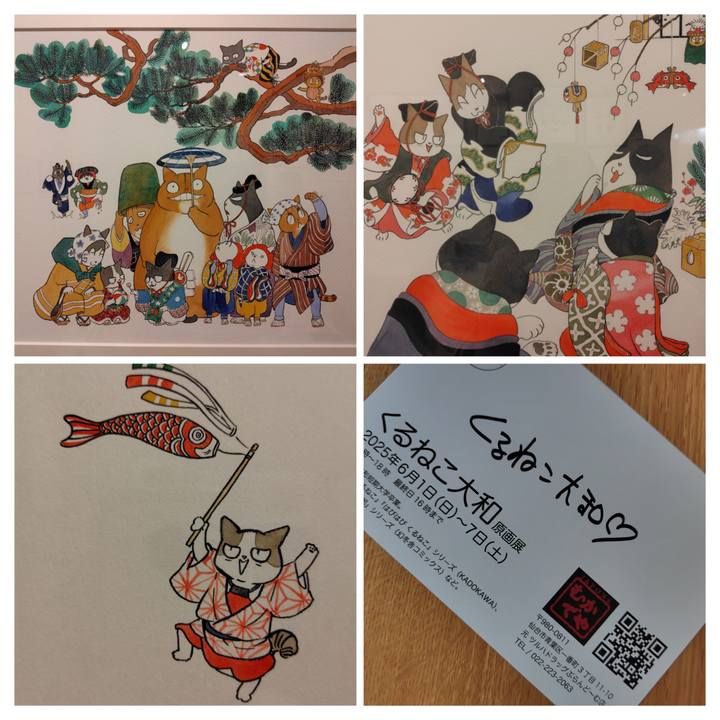 69e54916 03e9 4210 9fb7 82fb6be2b13a 1748933202653