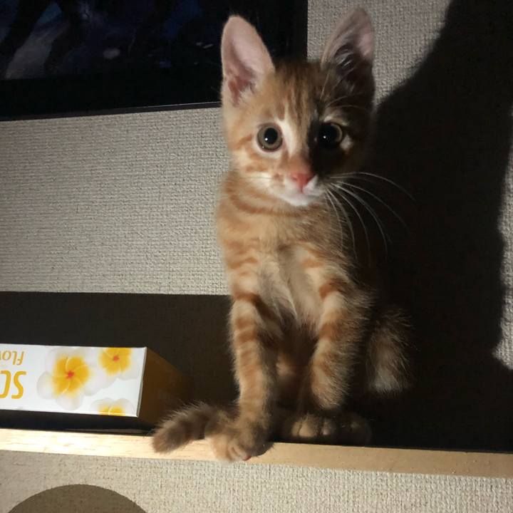 69e574f8 d135 44e0 981c 6d2f4b835957 1563867430826