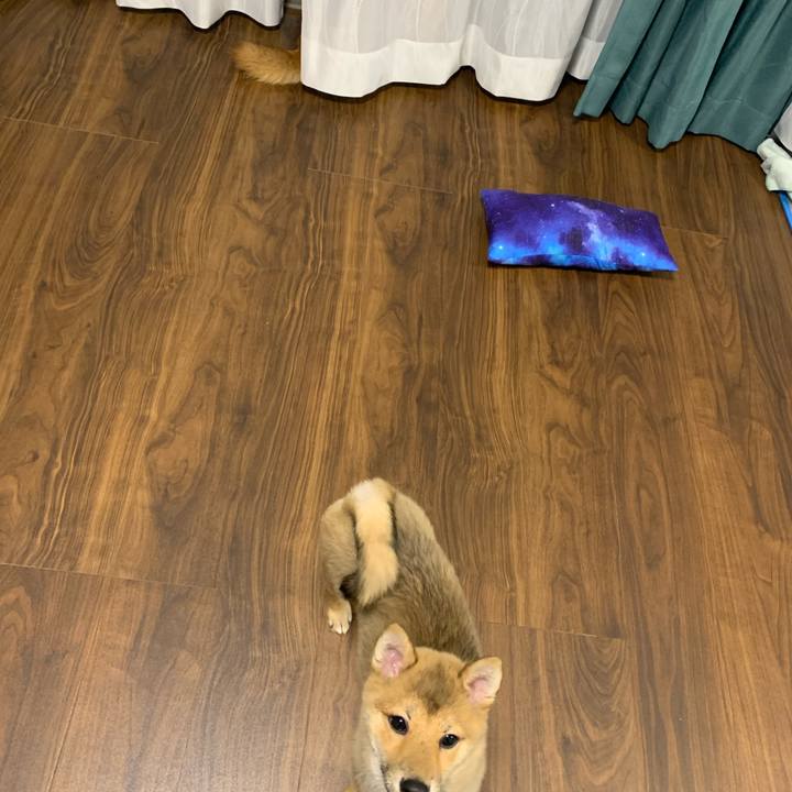 69e59542 64f9 4c3f aaa1 0c0ea8b55797 1620478143879