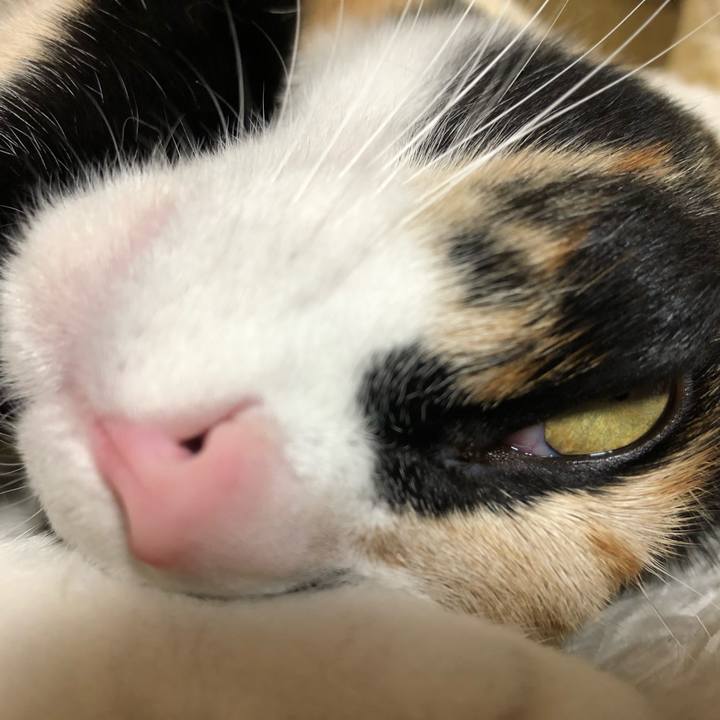 69e5a7b4 3ddd 4f3c 9eec 292d9084e6c6 1604238318735