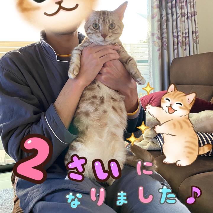 69e5ab26 4924 43a5 9f8a deac2b978dde 1641340881092