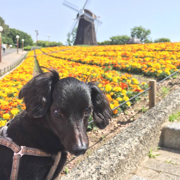 69e5dd35 ec19 43ec 9dee b9a8049941c5 1579821414595