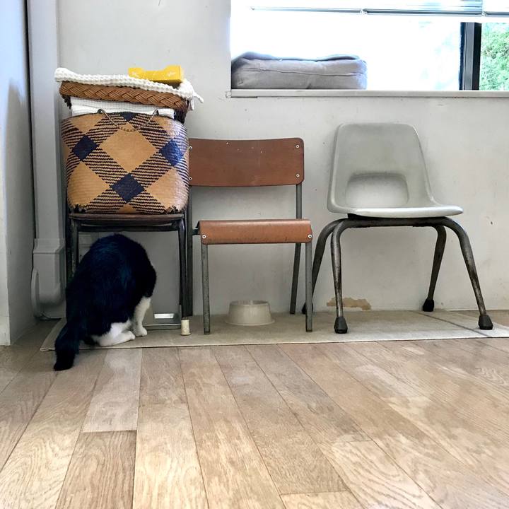 69e5de7a 3719 4d75 9d11 da8c4aaf2630 1512972137269