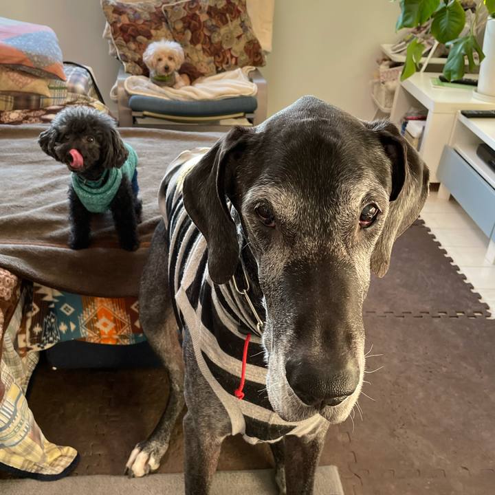 69e5e8e4 b685 4867 8036 b33f94e90f48 1643582997783