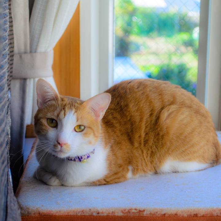 69e5f814 351c 4b23 9201 1ac97e122cce 1509080837050