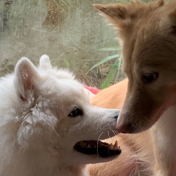 69e60e92 c6eb 4140 8e9f 3ceb8c248cfc 1601912257881