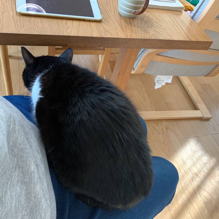 69e67833 d19a 403f 900f 4ef9c454323b 1582155781204