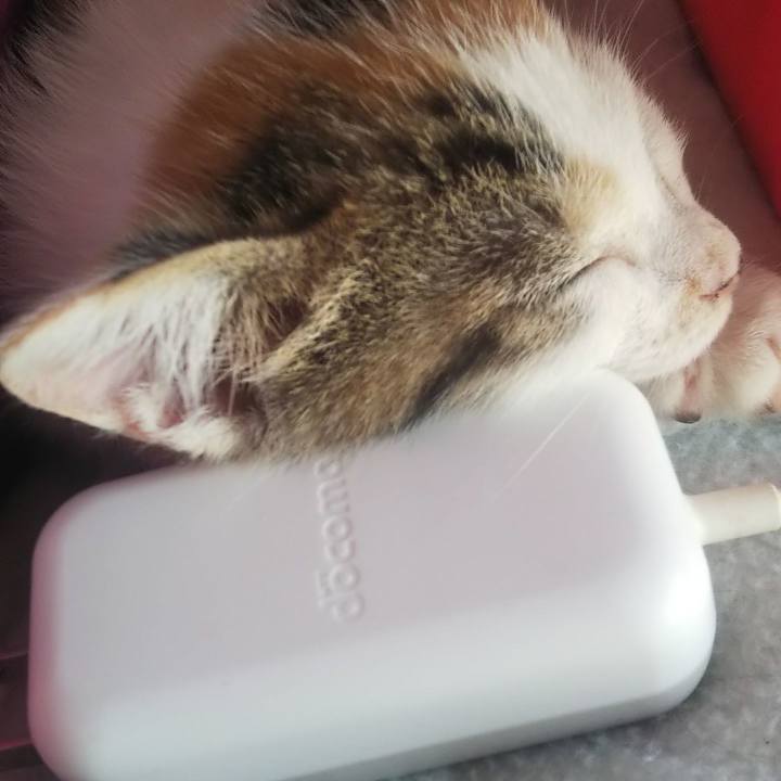 69e6798b 59d5 47ce aabe 413e11af3236 1633664070449