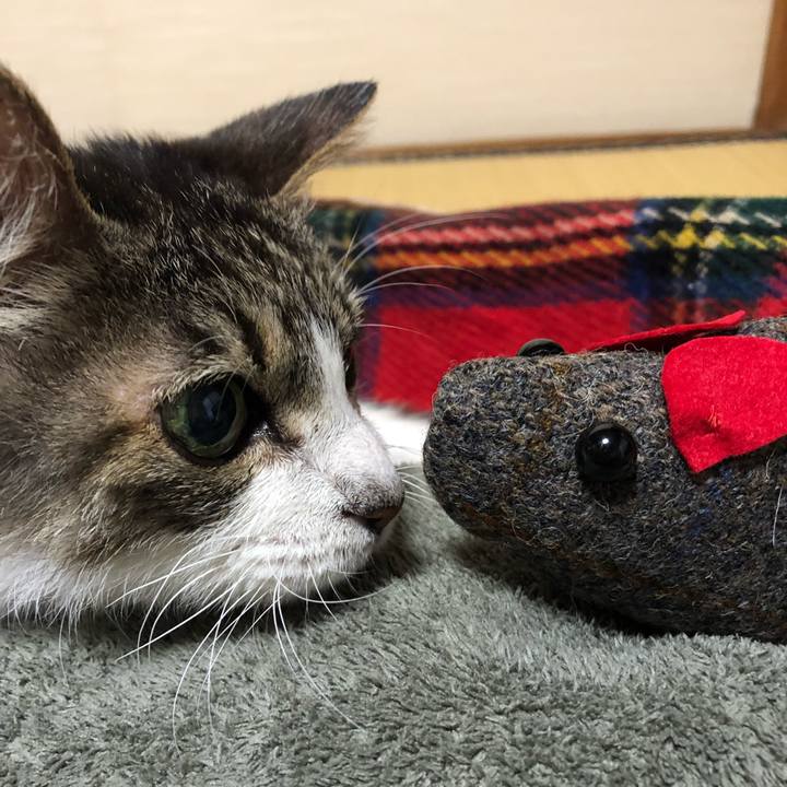 69e69ba3 b6a5 4529 9a95 8fc1018532ea 1643666832433