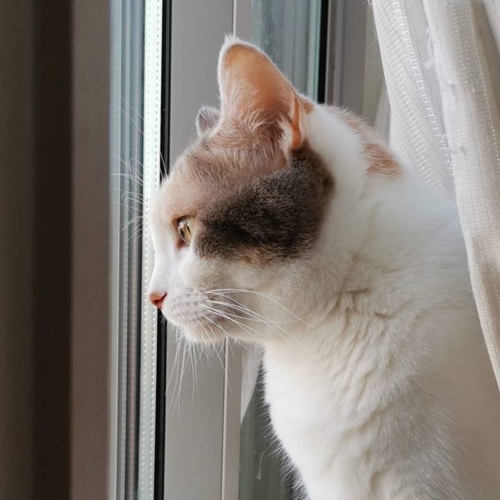 69e6c94f a062 4650 b932 e5302808600e 1631606030541