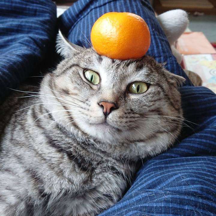 69e706de 3ea5 48c3 83c6 fe90aa550fef 1515122057422