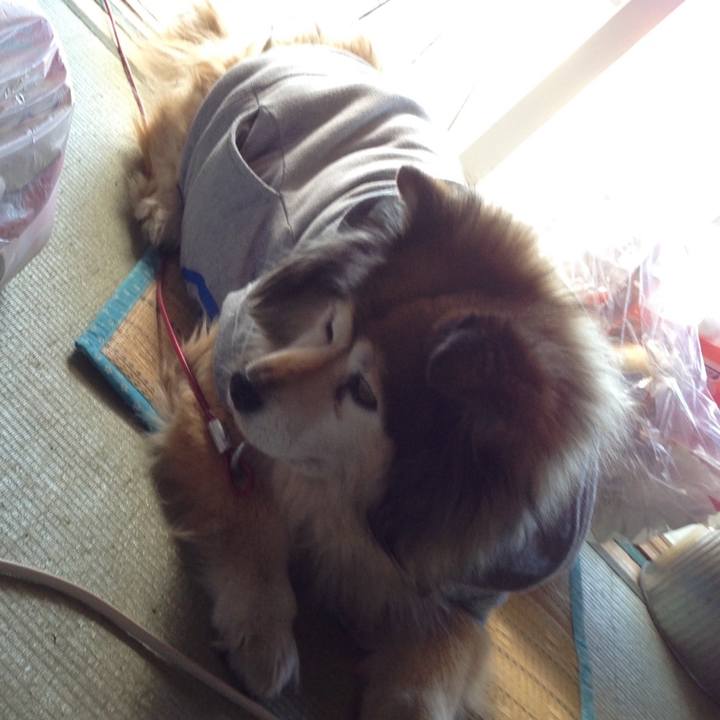 69e7256e 0d84 4c6c a08e 71eb11be1ee7 1588608028263