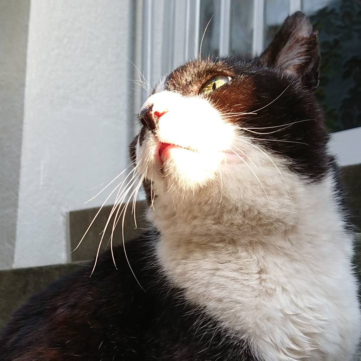 69e7a2a5 02a5 4407 871d 79fb4a059436 1683193976527