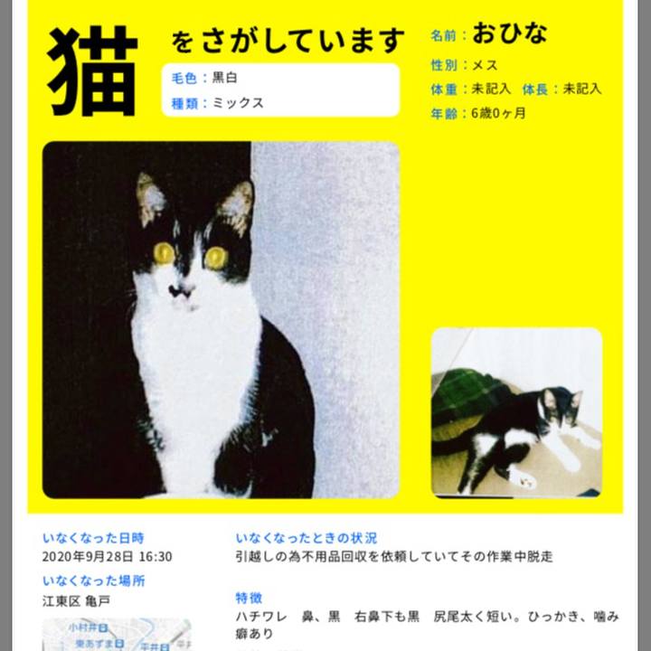 69e7e0e5 3e8e 4c09 bb5a bbd9940c5666 1604748471870