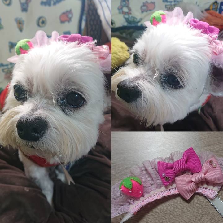 69e7e274 9a9b 45db bb81 2acd216e8b41 1644299885706