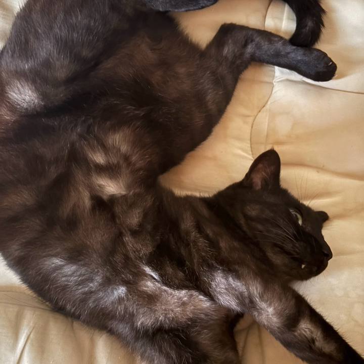 69e7e2a8 cd05 46c8 8aa2 7aa9c08a1656 1758789840309