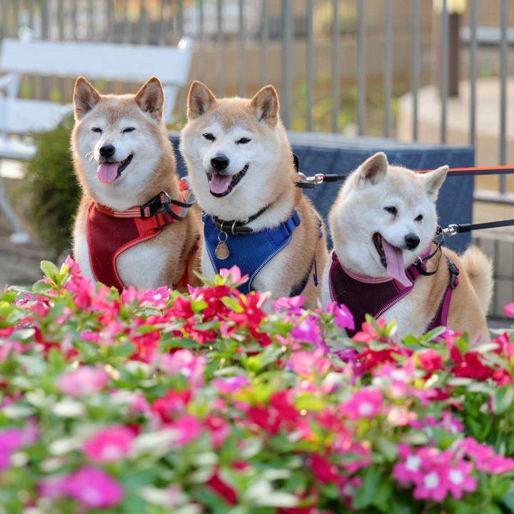 69e7f577 58e0 4abb b94b 79597109d25b 1752668358864