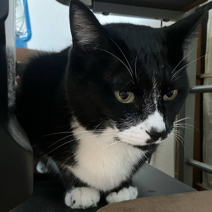 69e886fe 1510 4c44 a940 0a0aa1b82c66 1731936080287