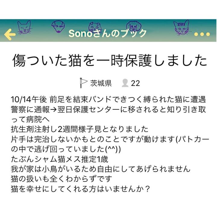 69e889aa 5f43 4c9d aa76 7de70cb438e8 1571278741755