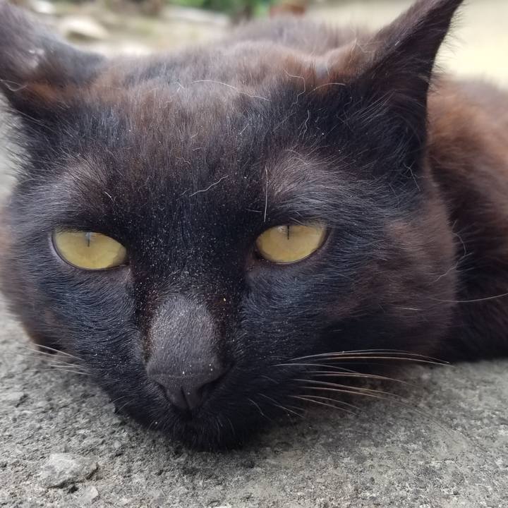 69e8929c 4956 466a bb67 9190807fbd5f 1688018697054