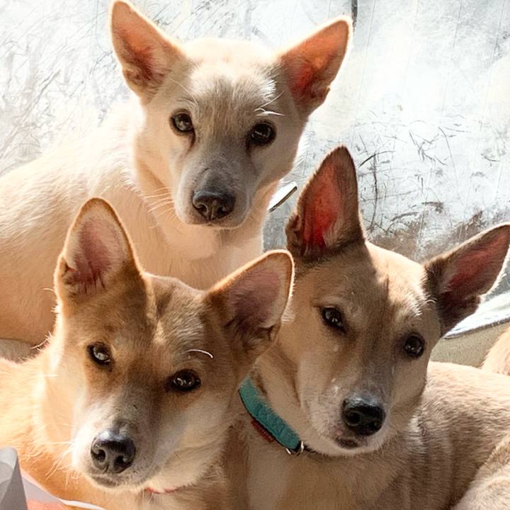 69e92594 3af8 4c35 9eba 4110eef13f39 1640397876093