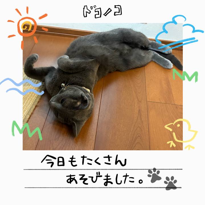 69e92d85 b4fd 4225 a0b1 d8caa85610c5 1755132972562