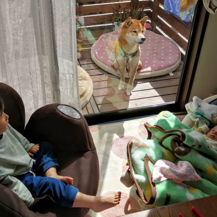 69e955a2 4422 4978 8371 ea4fae95a641 1614840532551