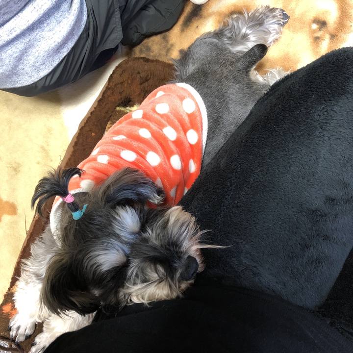 69e9615d eb36 4fe3 8aeb 04ae4167c2af 1550968056168