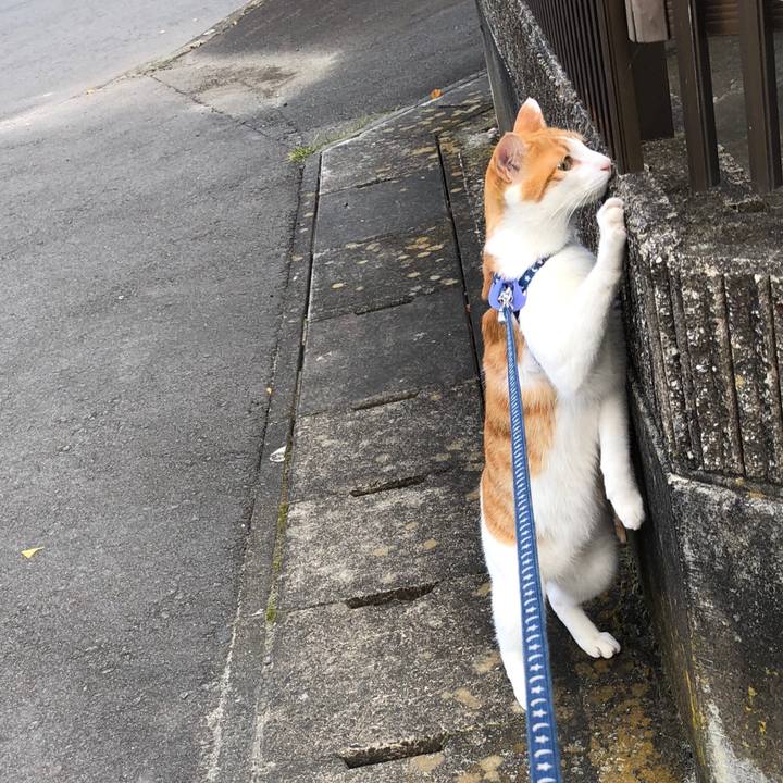 69e97c30 79eb 4836 a6fe 574f2604d2ac 1541135064502