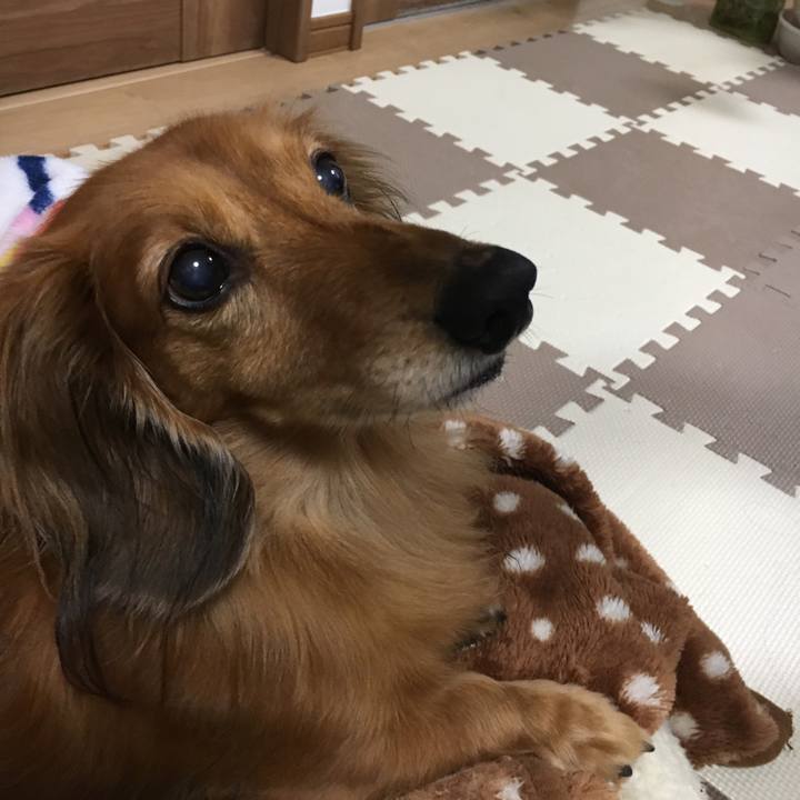 69e97cd4 c423 4b8f 97c0 ae165a471f22 1547733634167