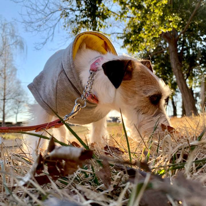 69e981ae bbea 4d43 97ff d41c87647a28 1645948434826