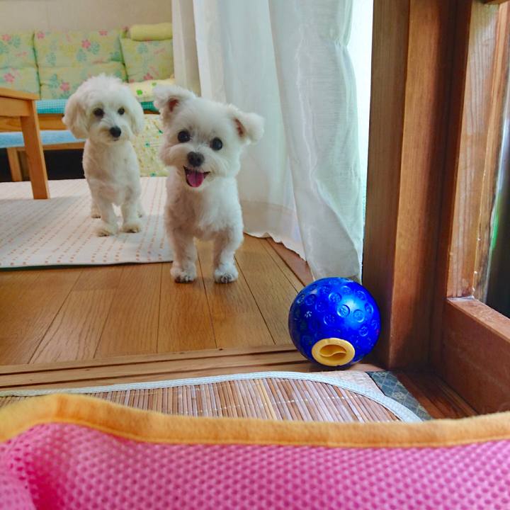 69e99d9e c055 465a b639 2b597cba5366 1524636839935