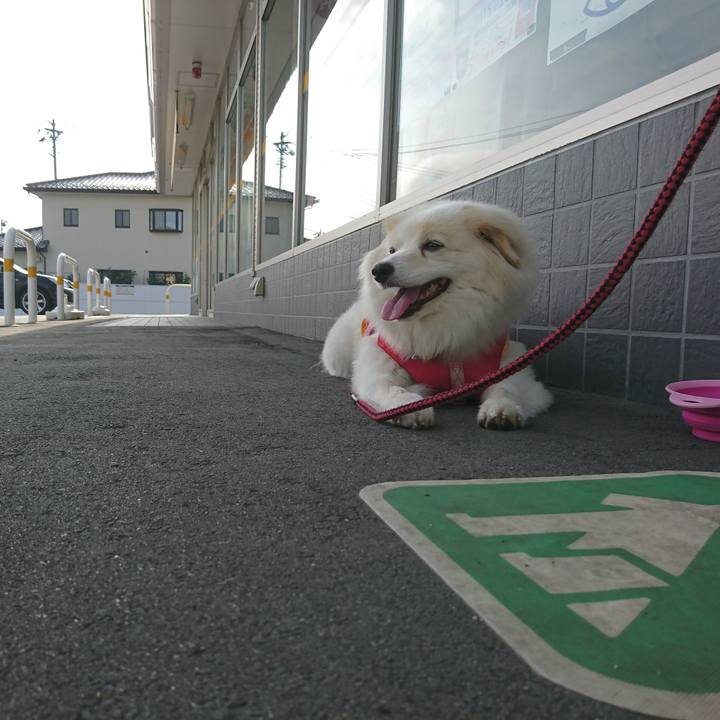 69e9e37a 3ffa 486b 9fc4 578387e6581f 1534286072643