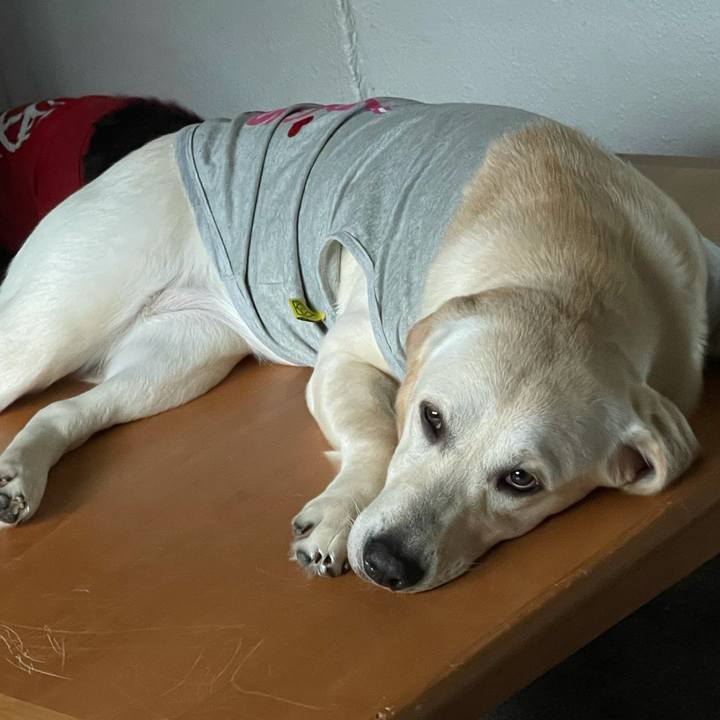 69e9ed34 0a0f 435c 88b1 6870c85c9dd4 1625692985962