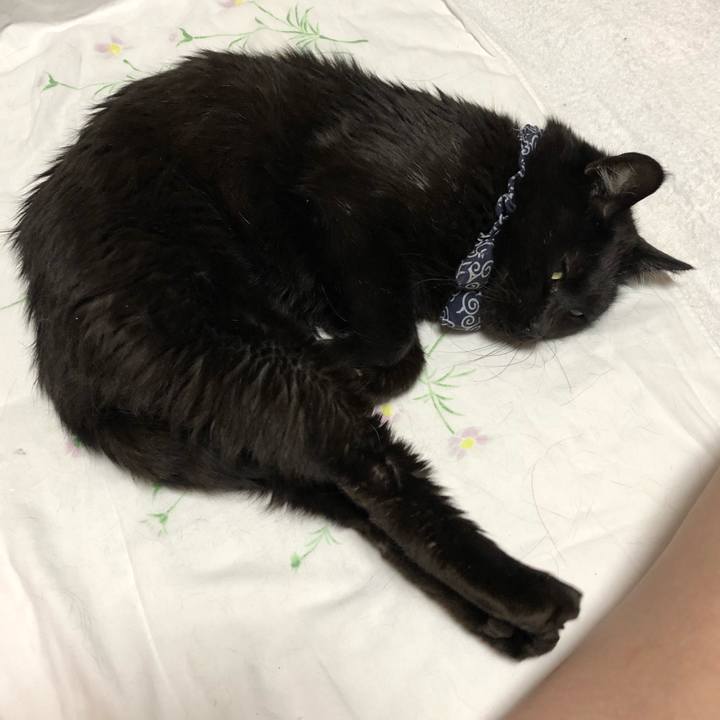 69e9f343 30c7 4c7e a50c 6b7385f1fc6d 1580309839372