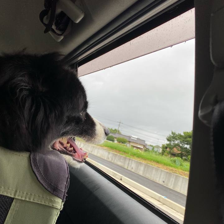 69e9f8a8 5eb6 4a28 8427 a73e71bb6ce7 1658354903047