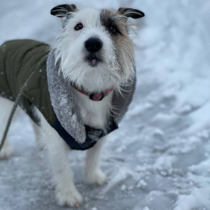 69ea0326 162d 440d 9708 d43e9b4df37c 1610925873812