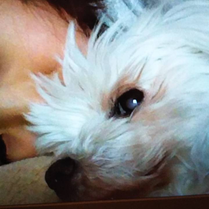 69ea0e58 29b1 4e7e 81cf abb8928c6621 1553788058297