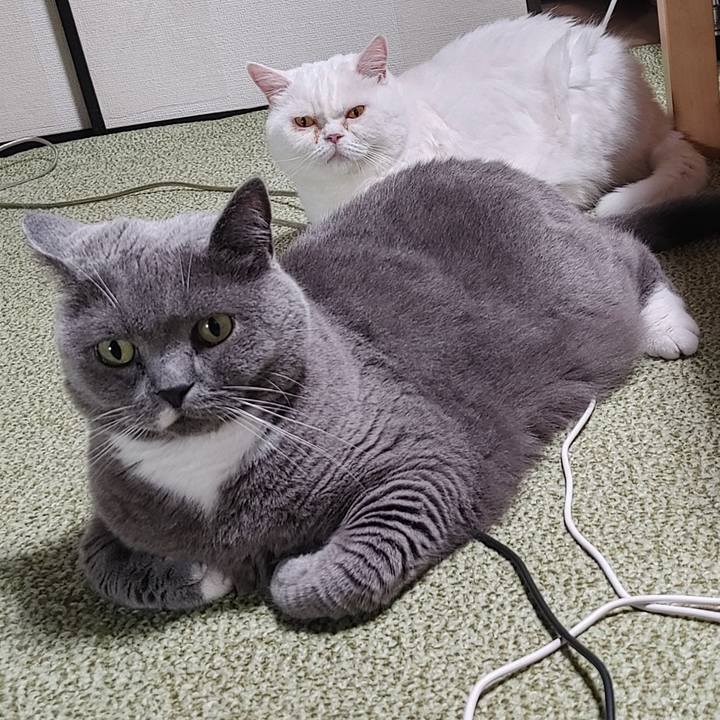 69ea2067 4c05 416f 8b1a ccb488a670d2 1657802650754