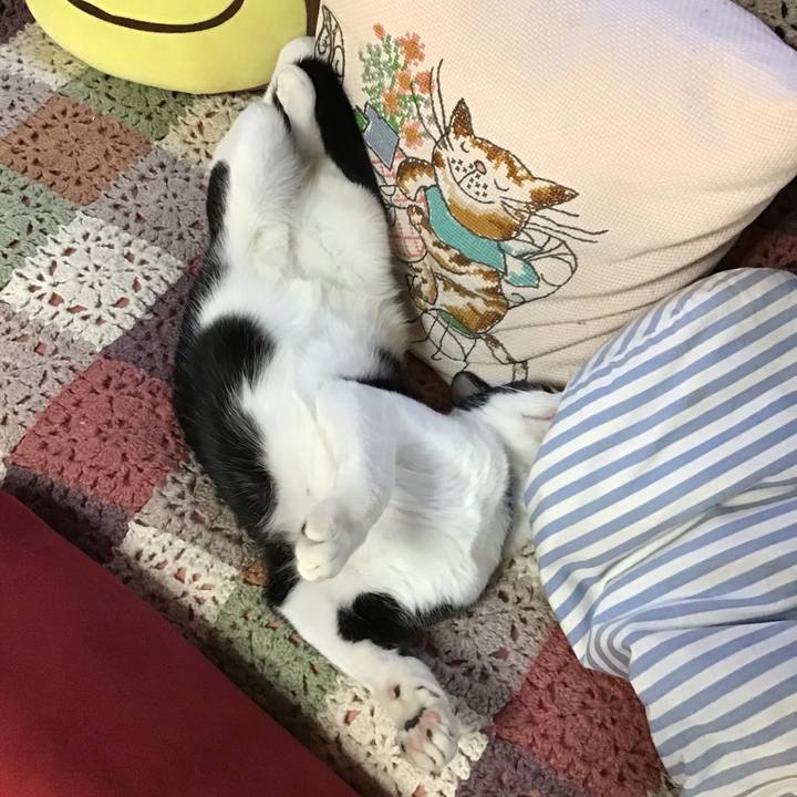 69ea6a56 89e3 458a b4b0 c6c143deaeeb 1638685789435