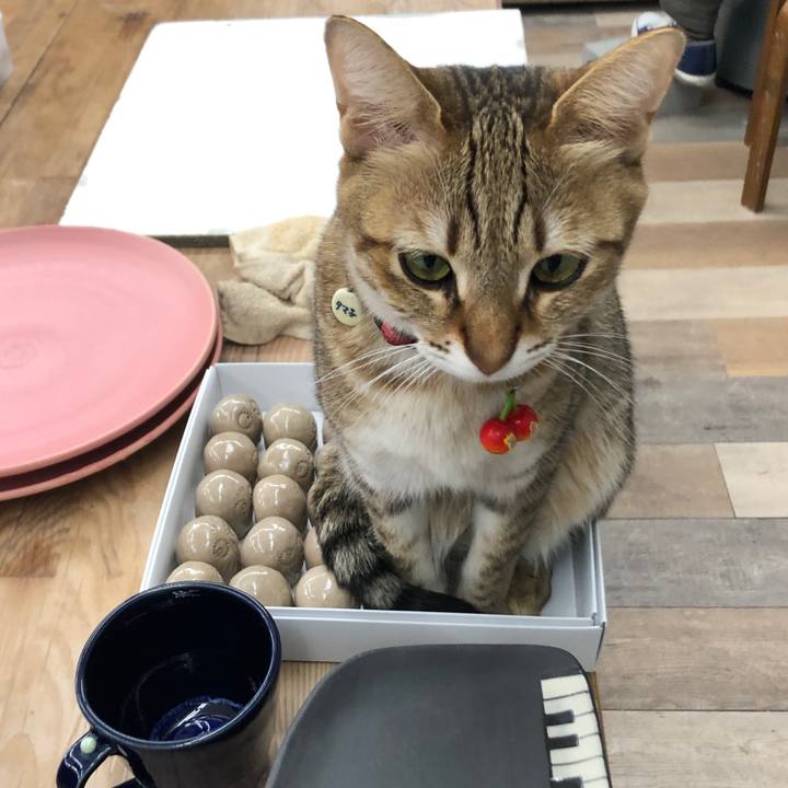 69ea702c a5c1 4154 840e a318c1604cbc 1645328395091